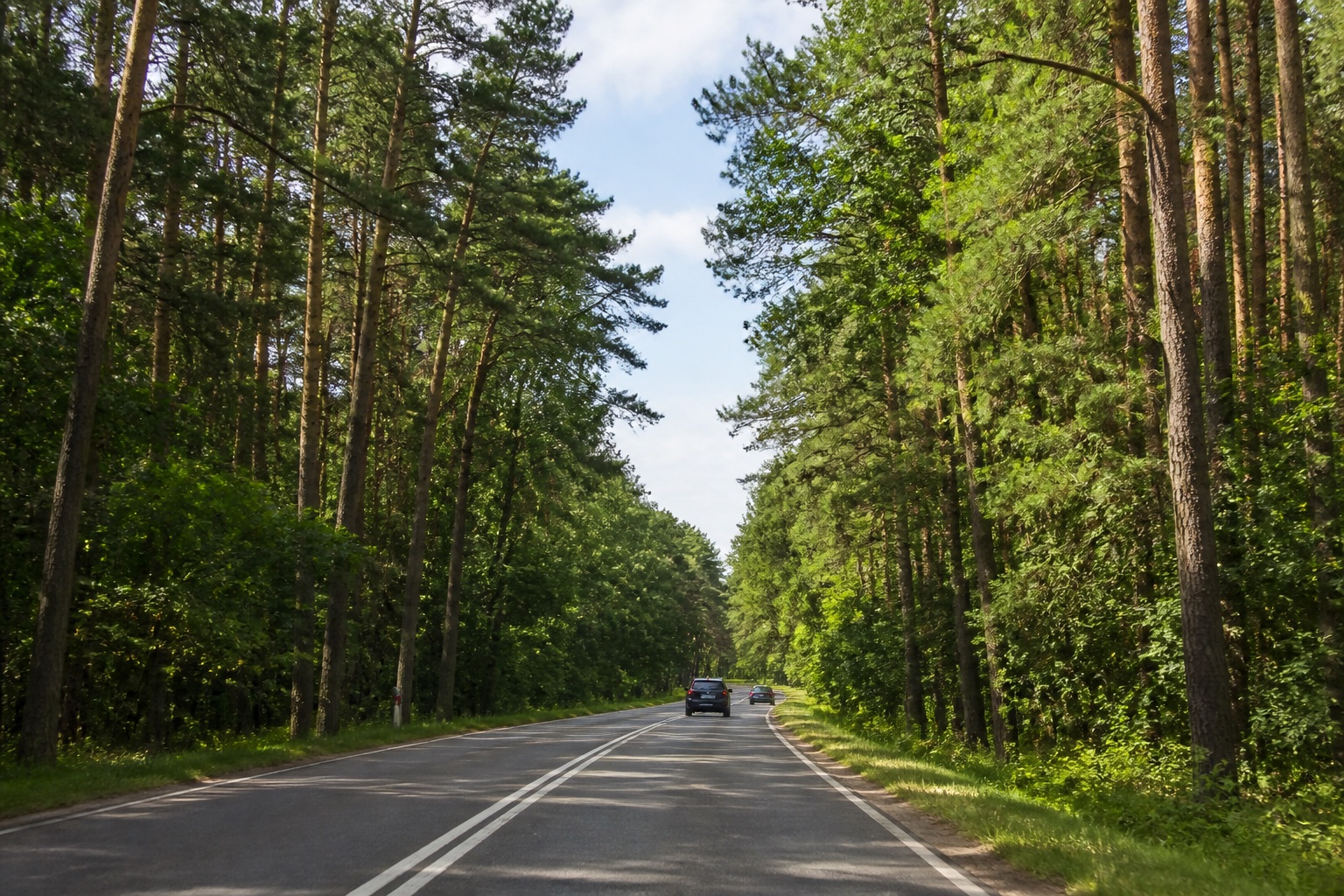 Дорога в Светлогорск